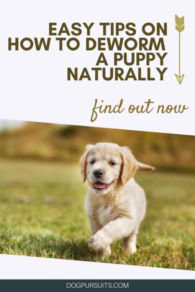 How to Deworm a Puppy Naturally 8 Natural Home Remedies